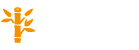 Bamboo Removal